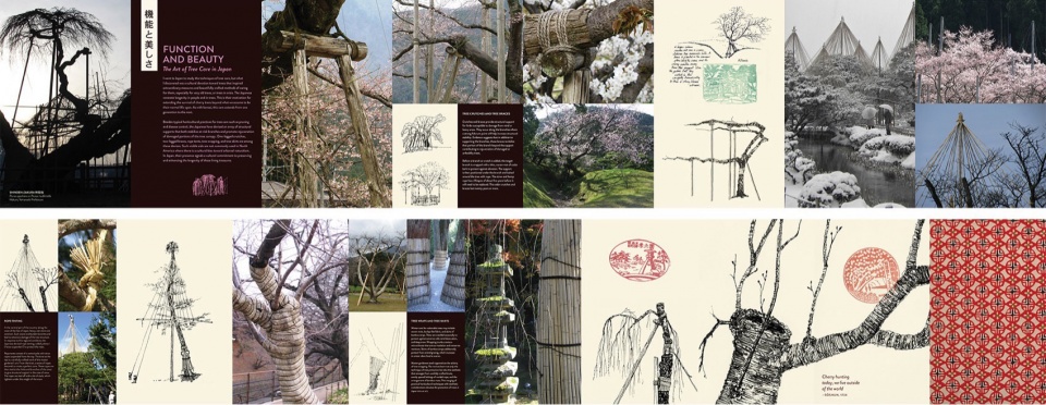 Sakura Orihon by Ron Henderson LIRIO Landscape Architecture
