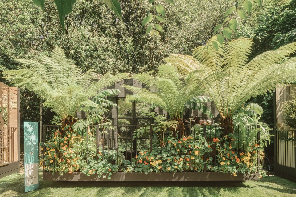 the addleshaw goddard junglette garden by mike mcmahon studio