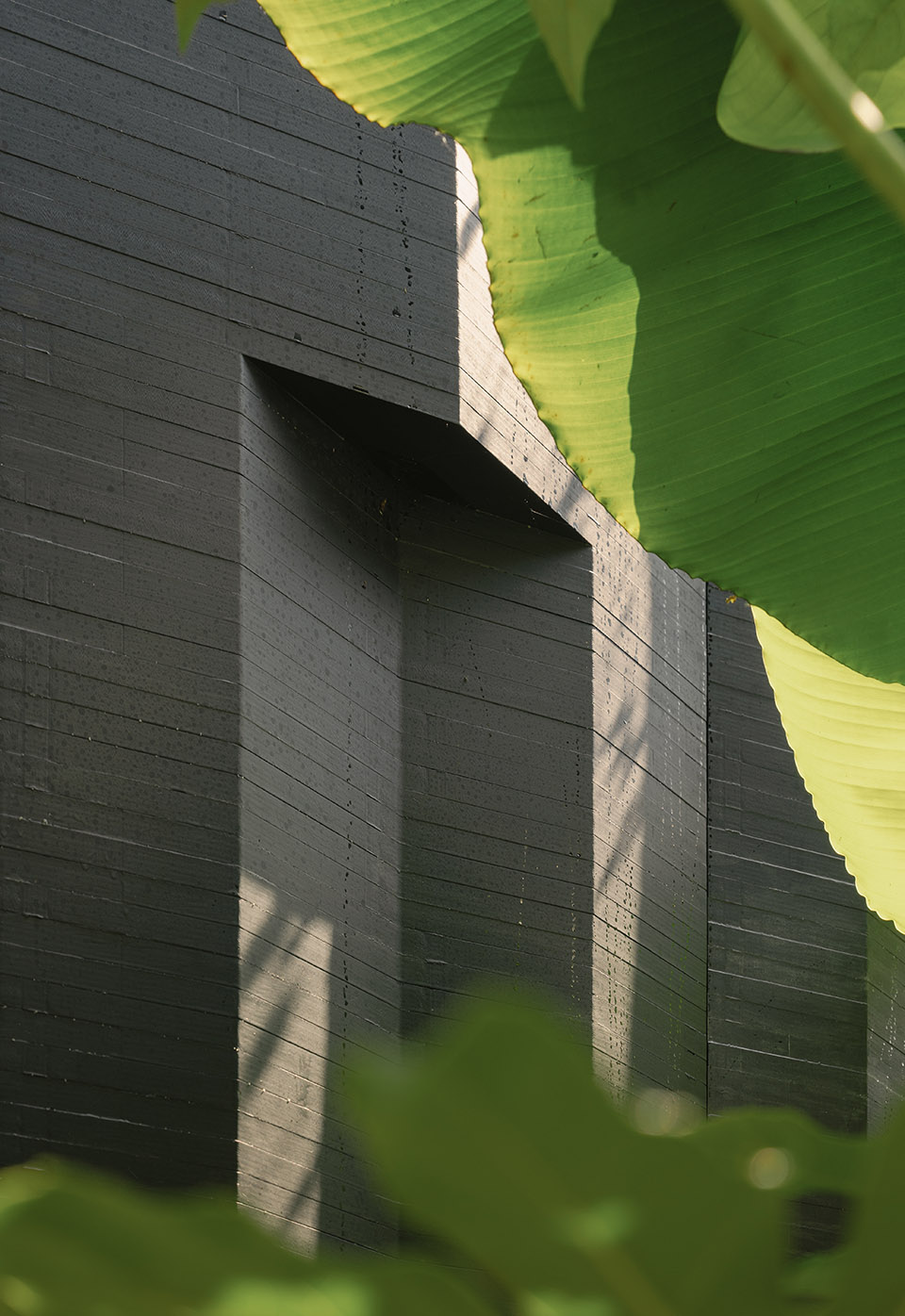 the addleshaw goddard junglette garden by mike mcmahon studio