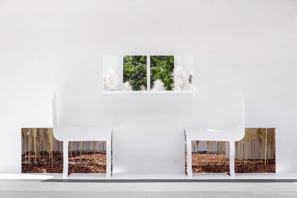 Paper space Immediacy Design and Research Office