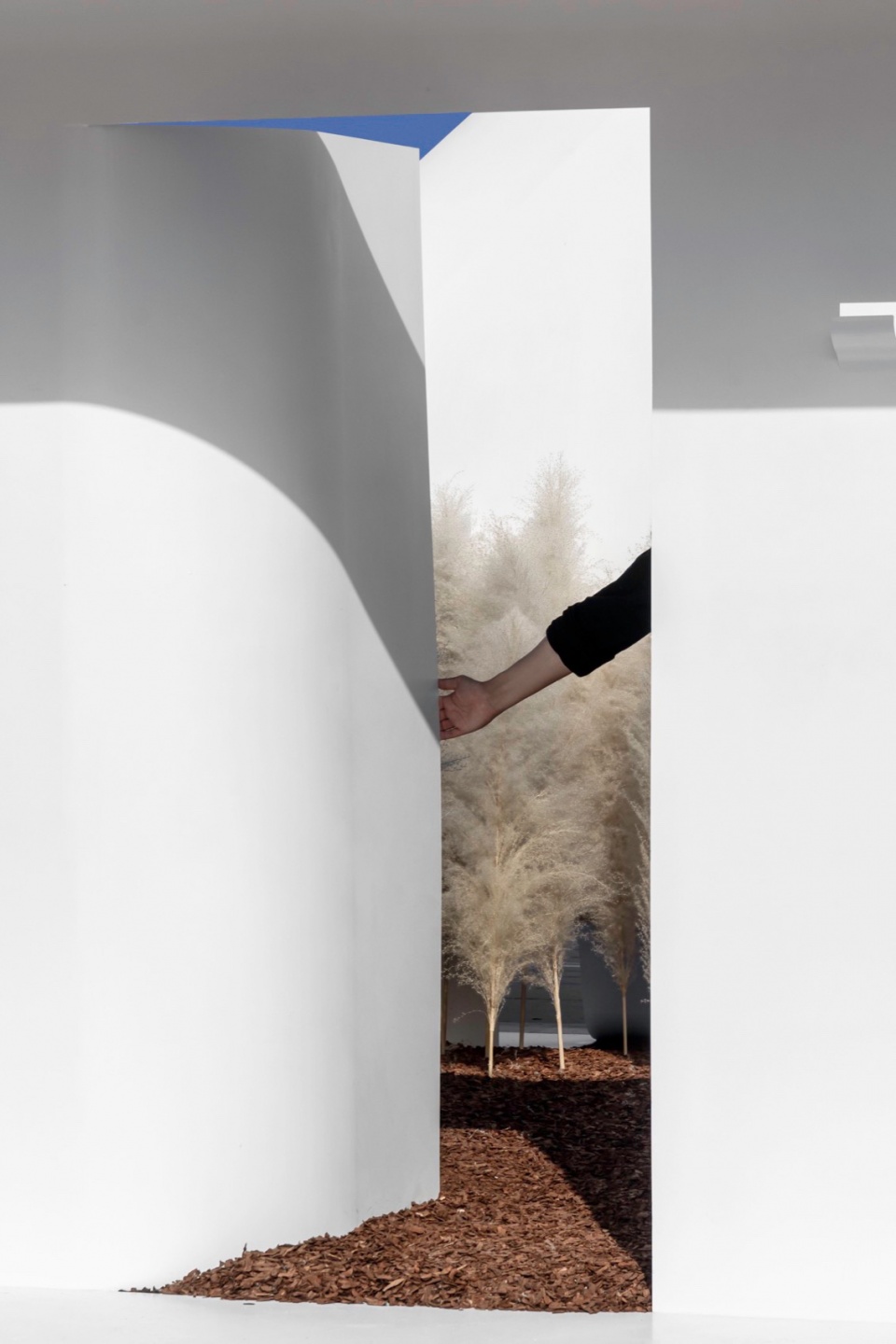 Paper space Immediacy Design and Research Office