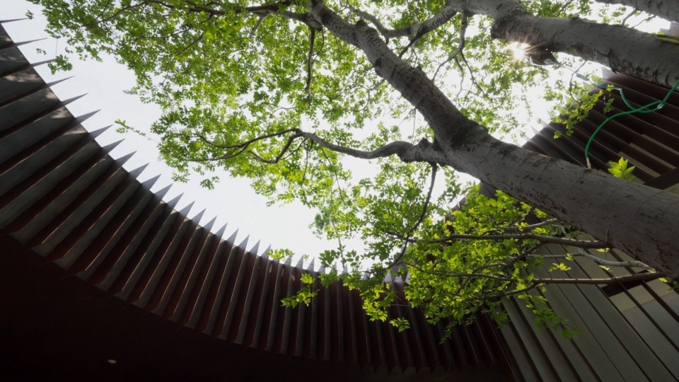 Qiaochengbei Park Visitor Center China by ATELIER XI