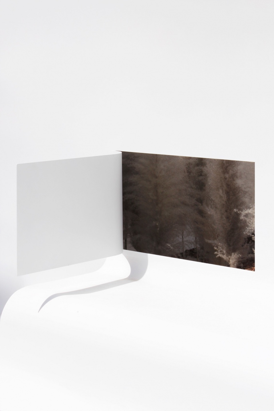 Paper space Immediacy Design and Research Office