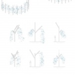 Rita Lee公园，巴西 / Ecomimesis Soluções Ecológicas