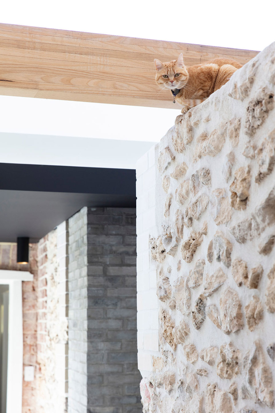 orient street house by philip stejskal architecture