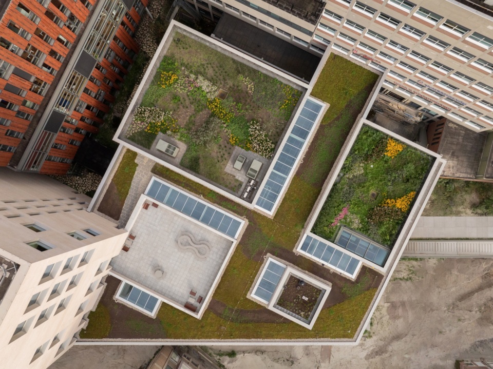 Education Centre University of Groningen by KAAN Architecten