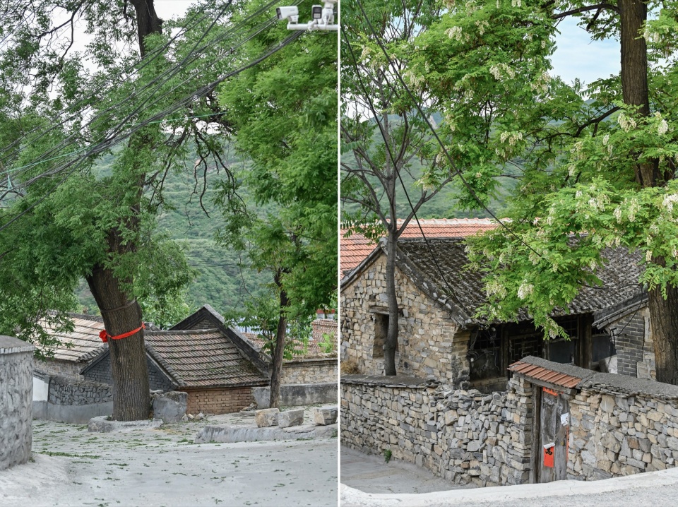 Rareyard Liushigang Homestay