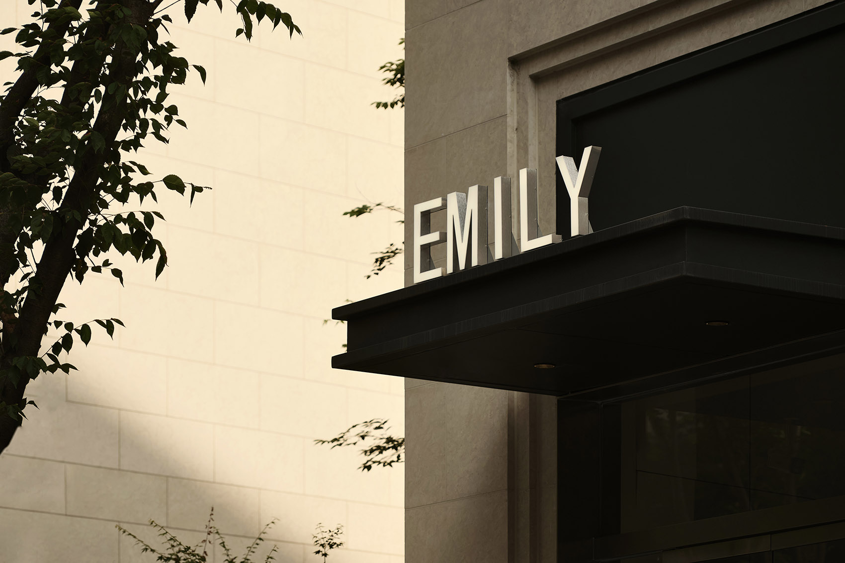 emily boutique by zhixiang design