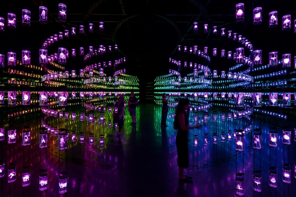 Journey of the Pioneers Exhibition by ATELIER BRUCKNER