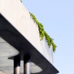 Mosman住宅改造，澳大利亚 / Tribe Studio Architects