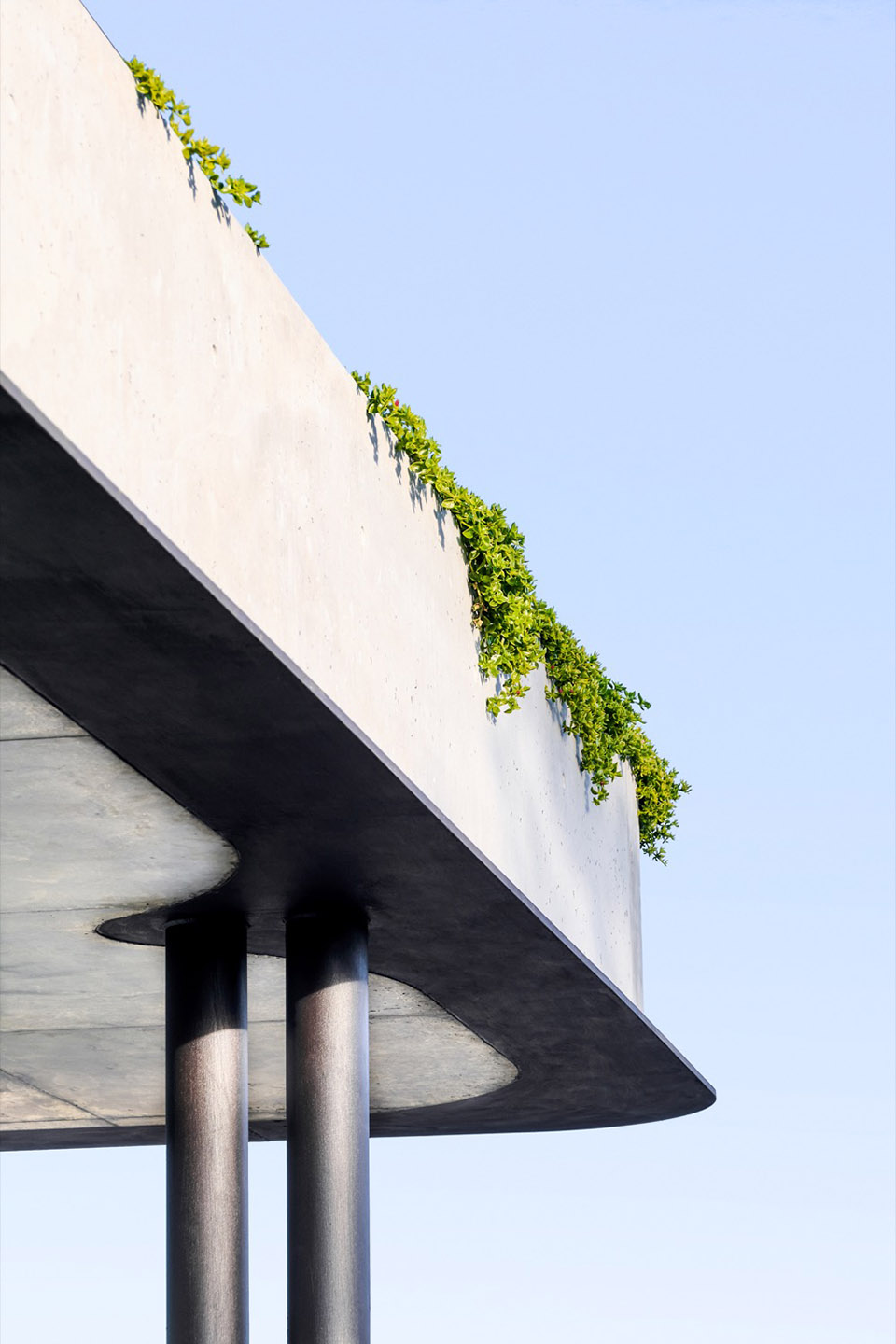 mosman house ii by tribe studio architects