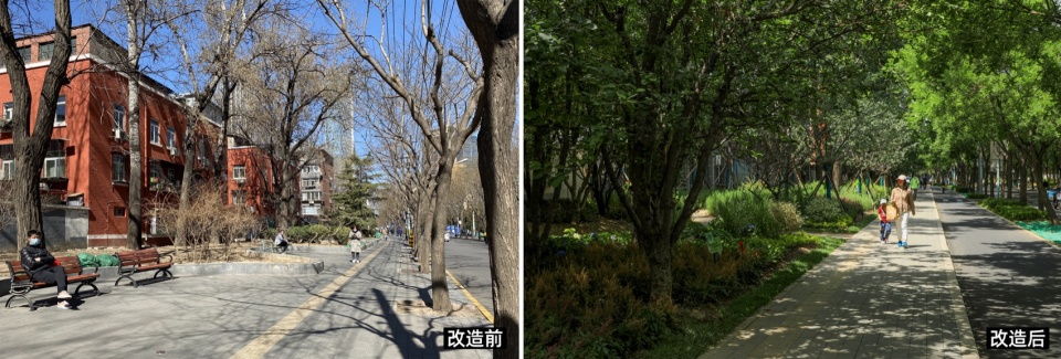Picturesque Landscape Comprehensive Environmental Renewal Design of Sanlitun Road in Beijing by DIMU Design CAFA A Urban Art Innovation C...
