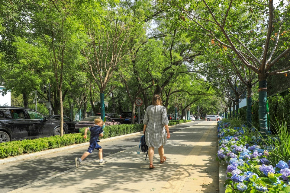 Picturesque Landscape Comprehensive Environmental Renewal Design of Sanlitun Road in Beijing by DIMU Design CAFA A Urban Art Innovation C...