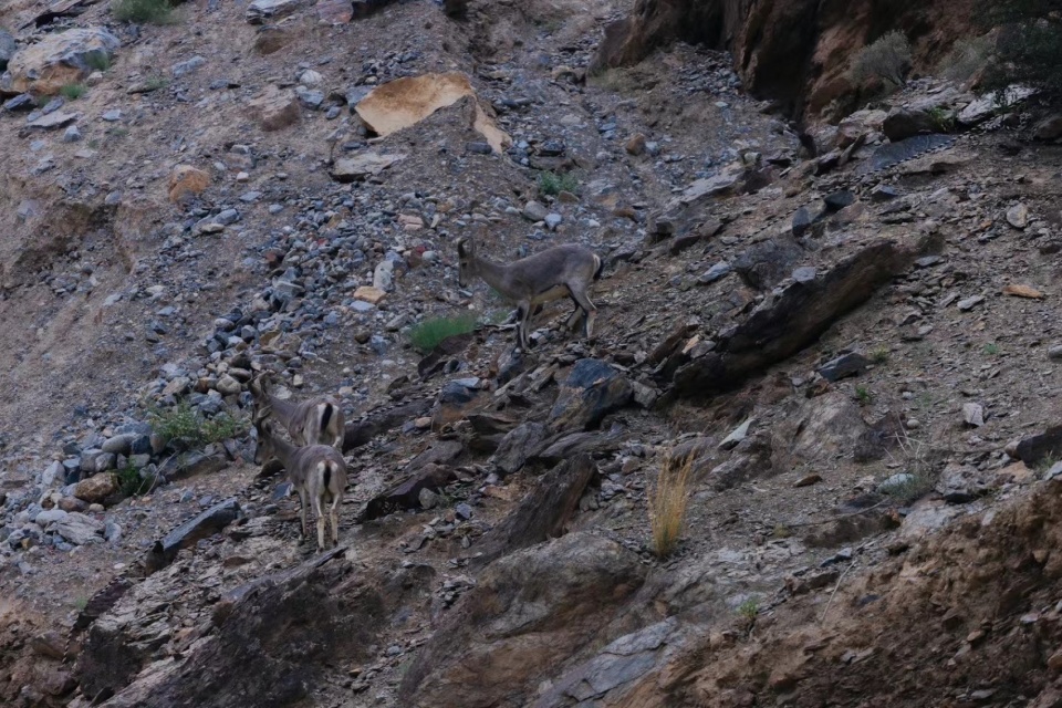 Nujiang River 72 Turns Canyon Scenic Area