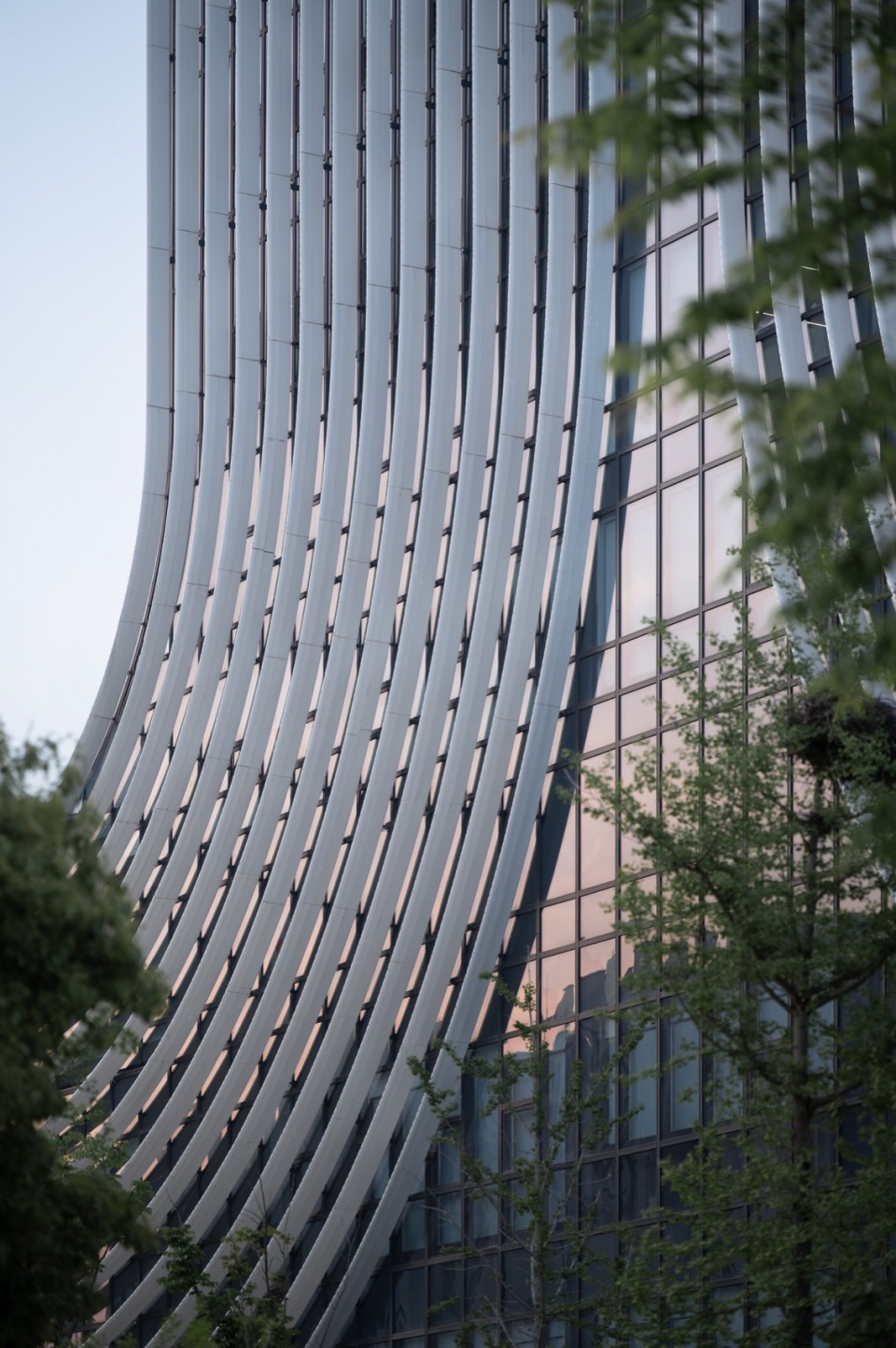 Extension of Curve 流线的延伸©柯剑波