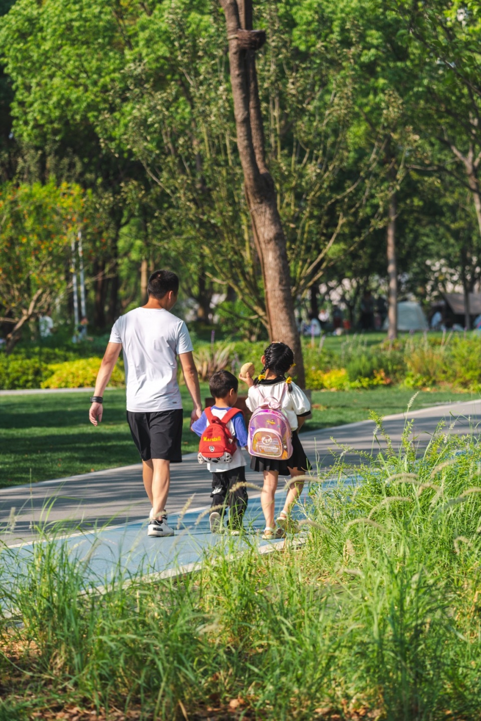 蠡湖渤公岛段已融入城市居民的生活 1 li lake scenic area ysh