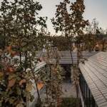 Caribu住宅，墨西哥 / Taller Tequio
