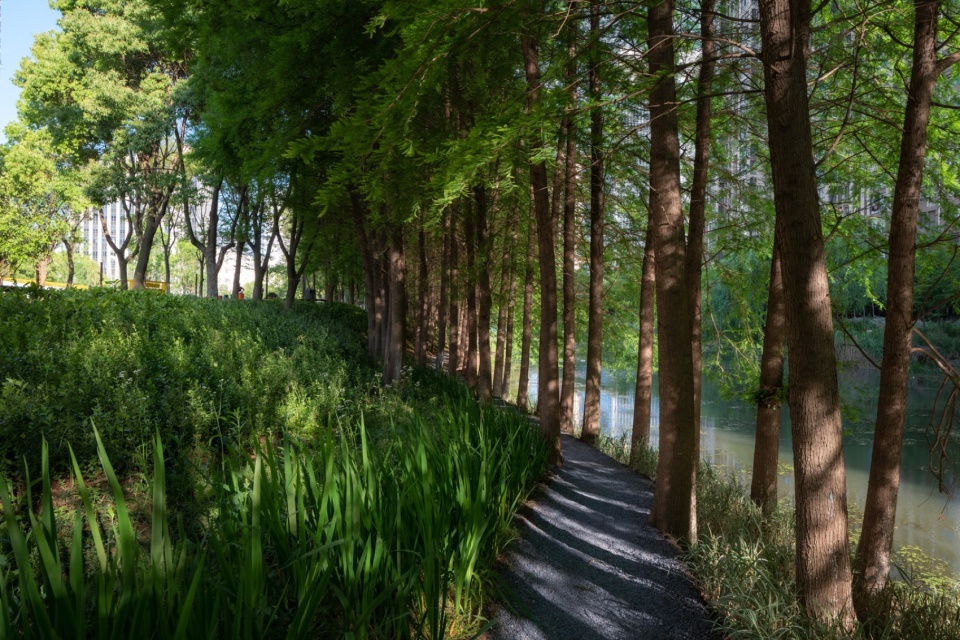 The Orchestra Park