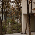 Caribu住宅，墨西哥 / Taller Tequio