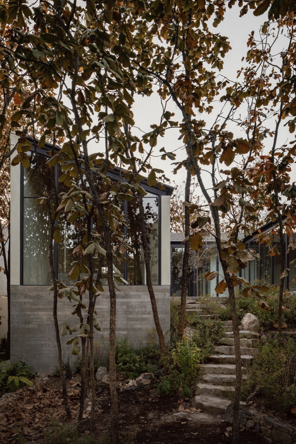 Casa Caribu by Taller Tequio