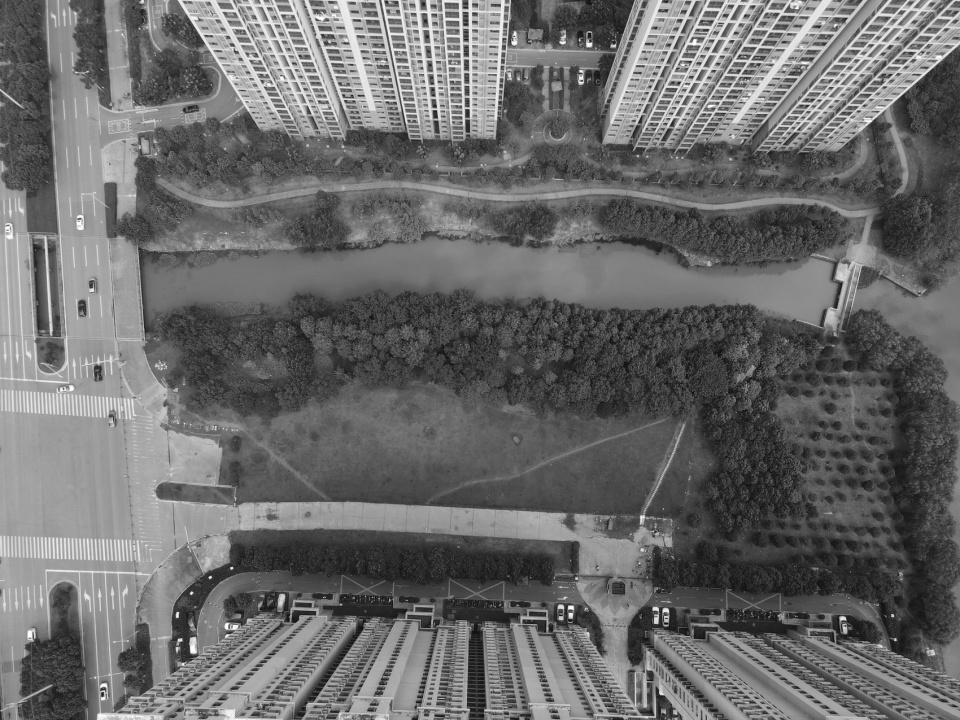 The Orchestra Park