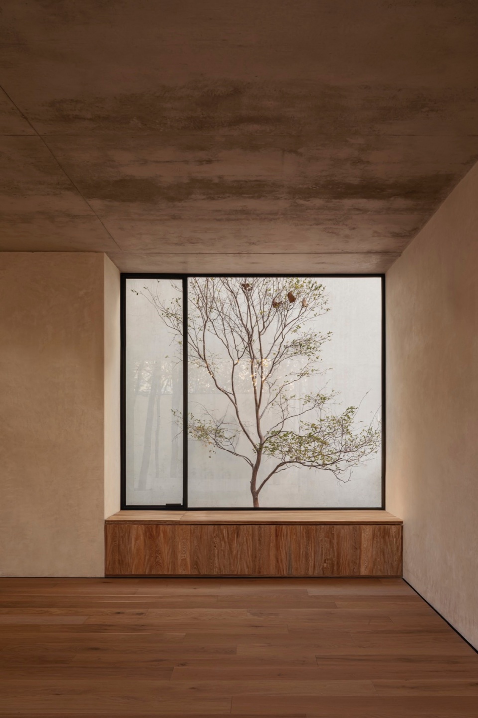 Casa Caribu by Taller Tequio
