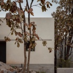 Caribu住宅，墨西哥 / Taller Tequio