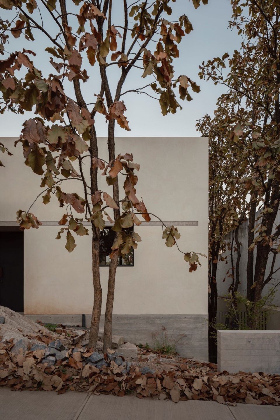 Casa Caribu by Taller Tequio