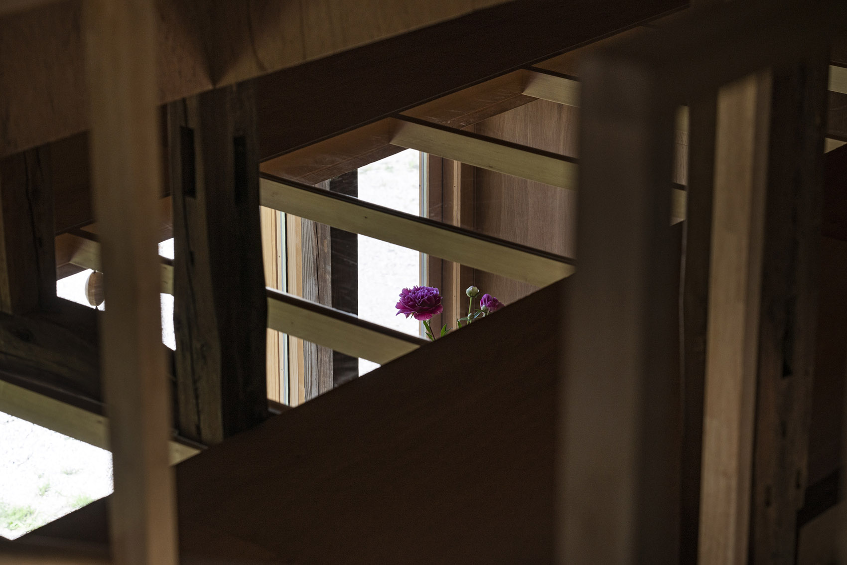 a 101 years house by 1110 office of architecture