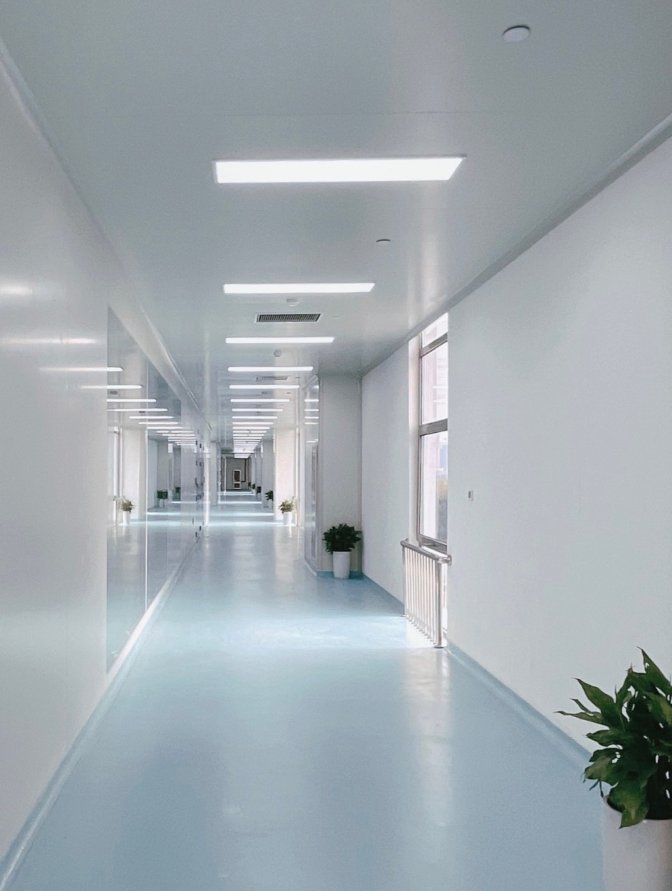 Angelalign Innovation and Beauty Base