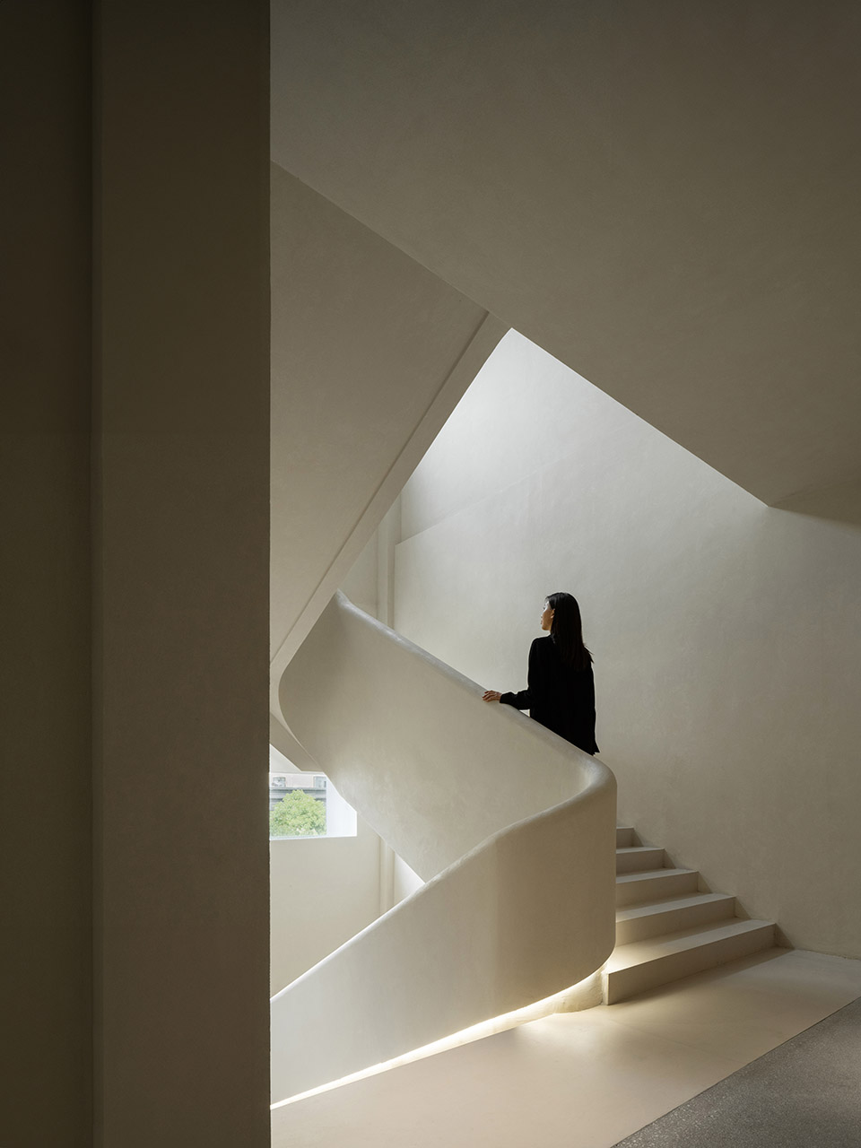 toutou office space by young design
