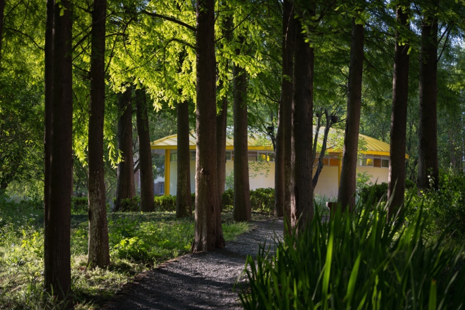 The Orchestra Park