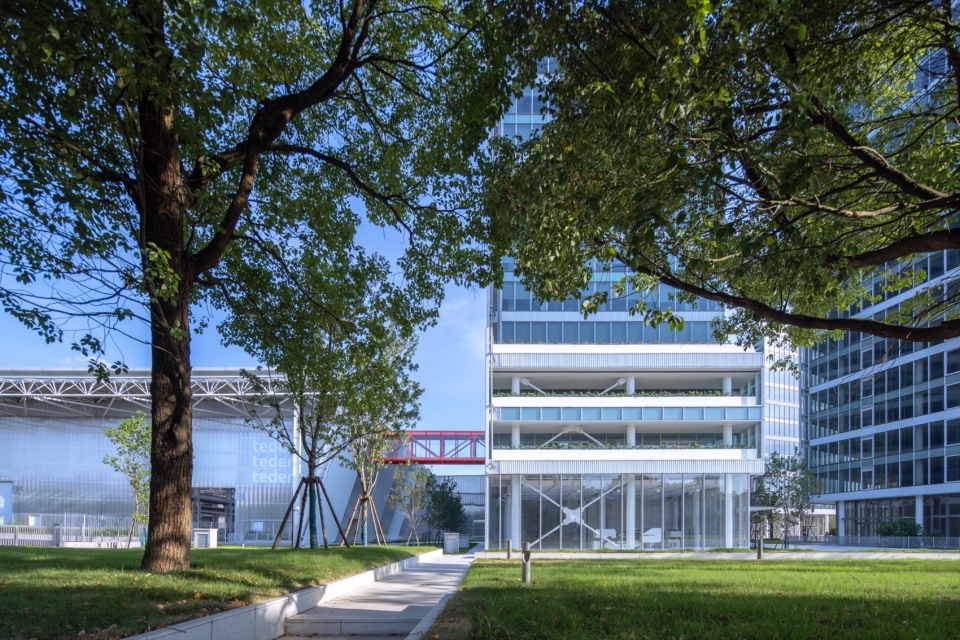 Tederic International Center