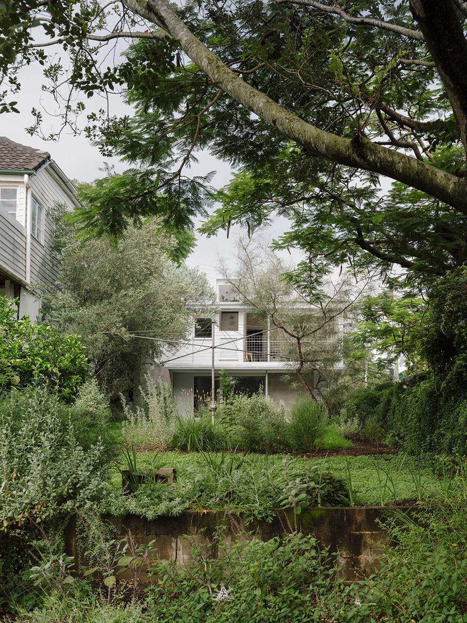 red hill house studio by zuzananicholas