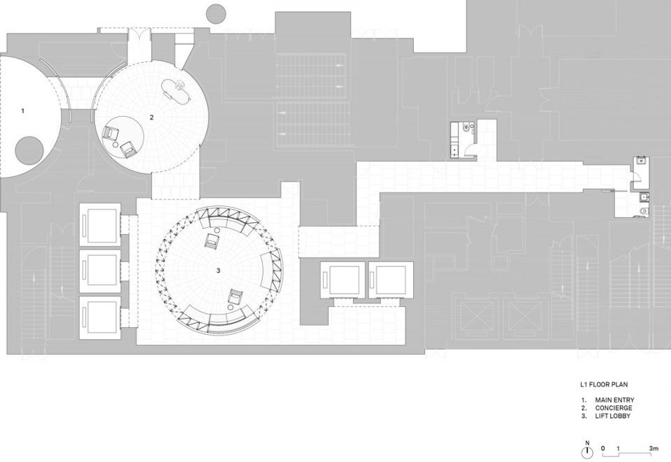 L1 Plan