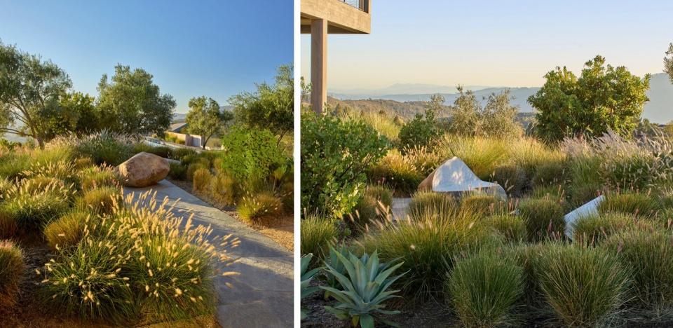 2024 ASLA RESIDENTIAL DESIGN AWARD OF HONOR Trinity Road by Surfacedesign Inc