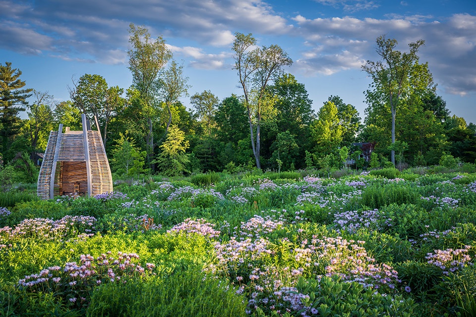 Pollinator and Bird Garden