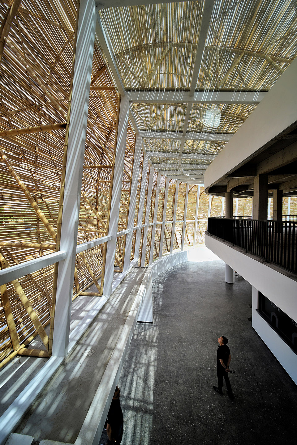 fish pavilion of bamboo shadow by zhuozhu architecture
