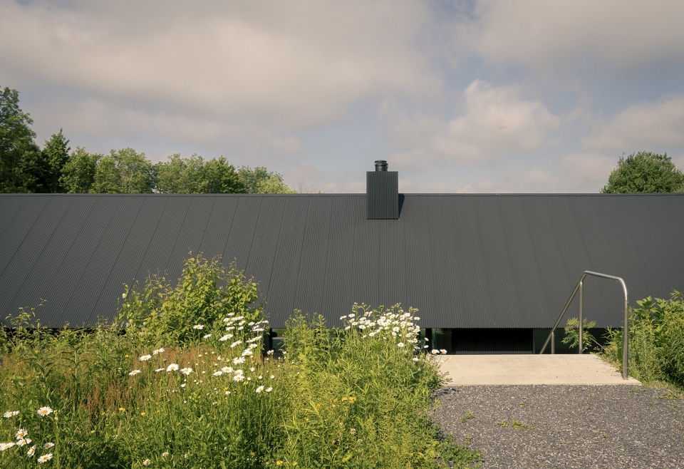 house in a meadow by group projects architecture