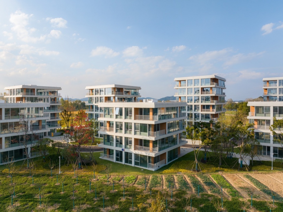 Dongshan Island by MORE Architecture