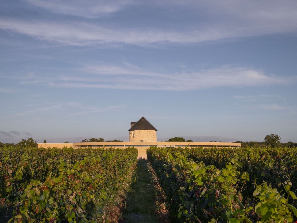 wine storehouse in sarzeau by carmen maurice architecture e1732266378364