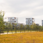 东山岛，浙江安吉 / MORE Architecture