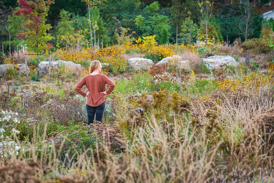 Pollinator and Bird Garden