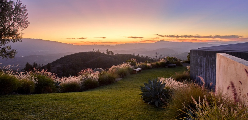 2024 ASLA RESIDENTIAL DESIGN AWARD OF HONOR Trinity Road by Surfacedesign Inc