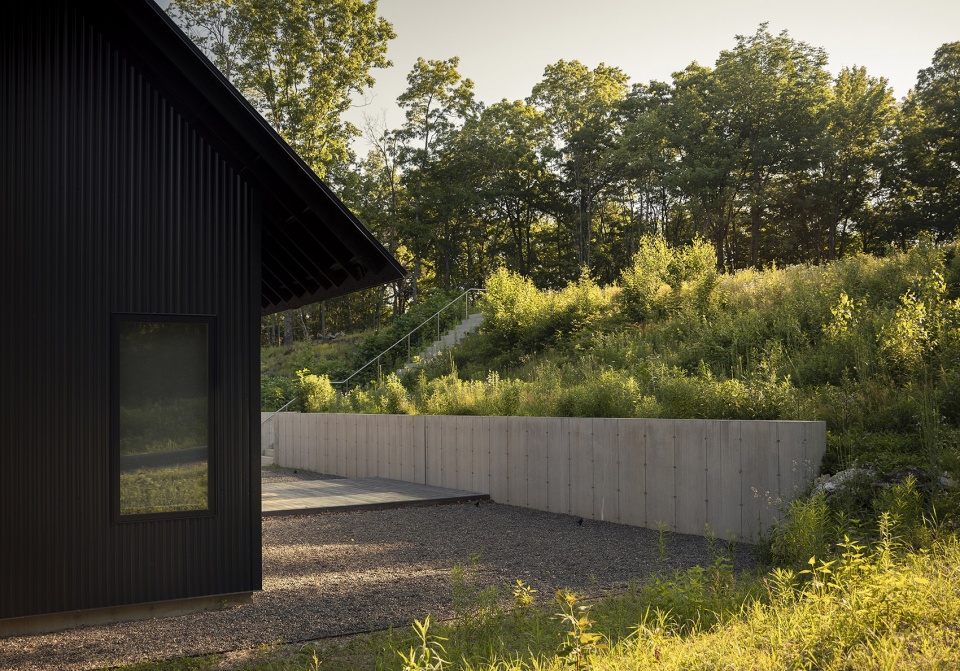 house in a meadow by group projects architecture