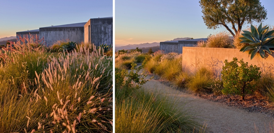 2024 ASLA RESIDENTIAL DESIGN AWARD OF HONOR Trinity Road by Surfacedesign Inc