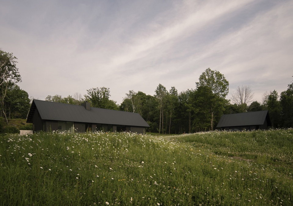 house in a meadow by group projects architecture