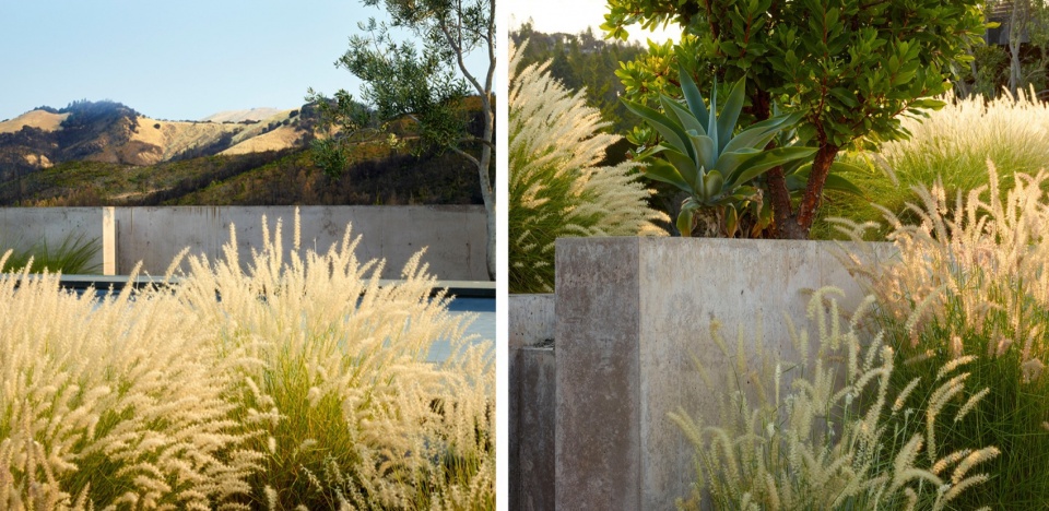 2024 ASLA RESIDENTIAL DESIGN AWARD OF HONOR Trinity Road by Surfacedesign Inc