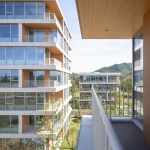 东山岛，浙江安吉 / MORE Architecture