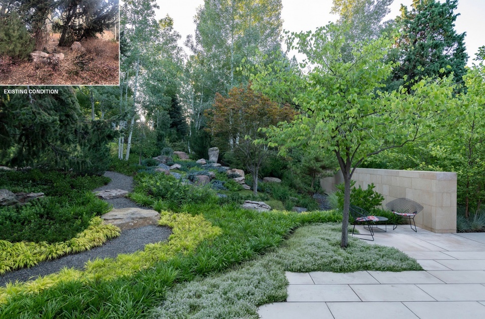 Nurturing Nature in the Mile High City by Design Workshop Inc Aspen